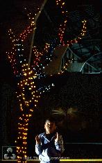 Enchanted Light Tree at the Exploratorium using Libke Flip Flops